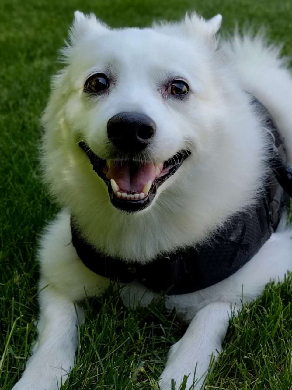Team member photo